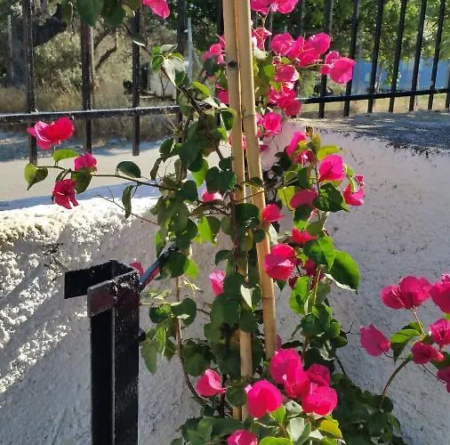 Barefoot ヴィラ *